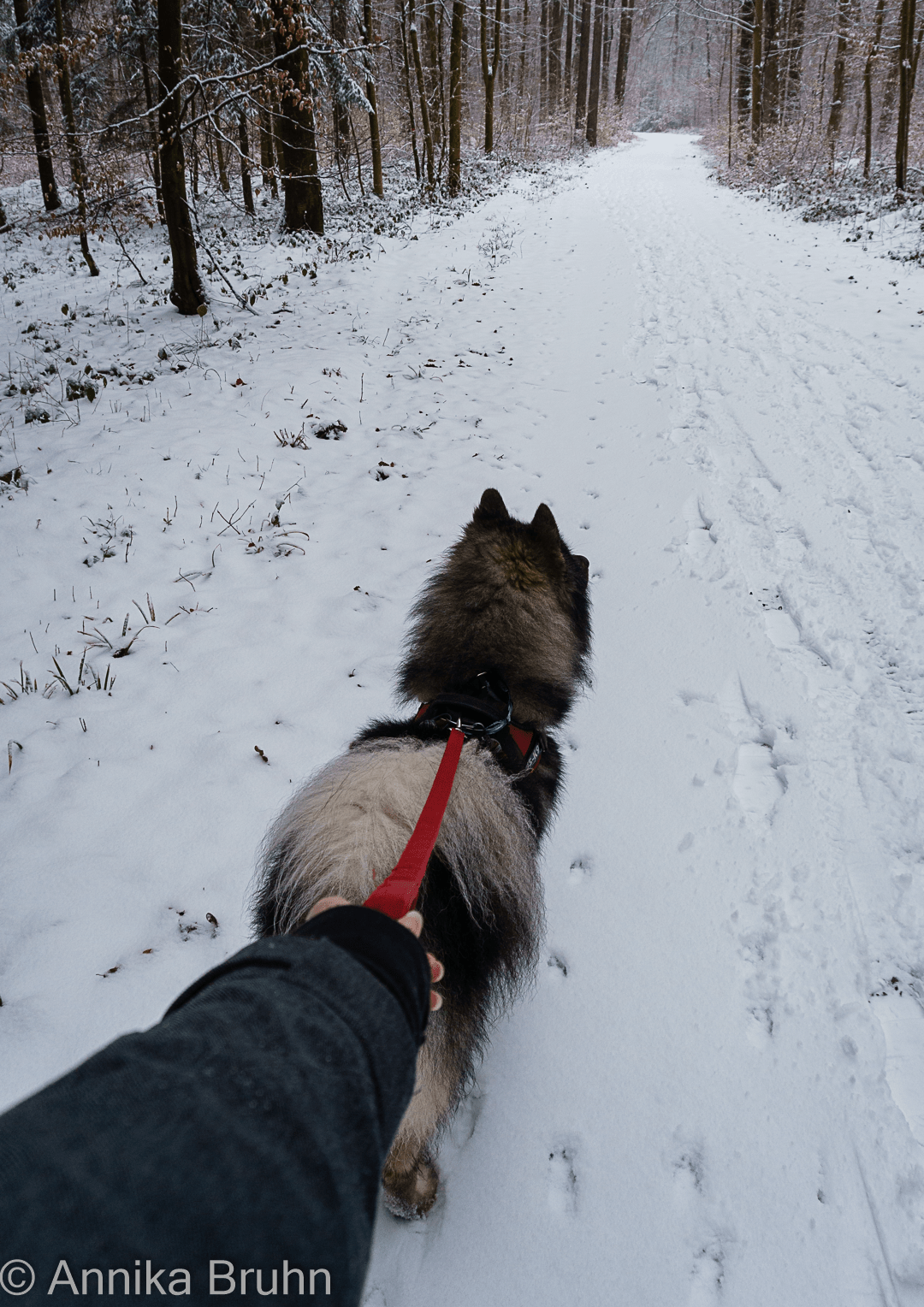 Q und ich bei der Schneewanderung